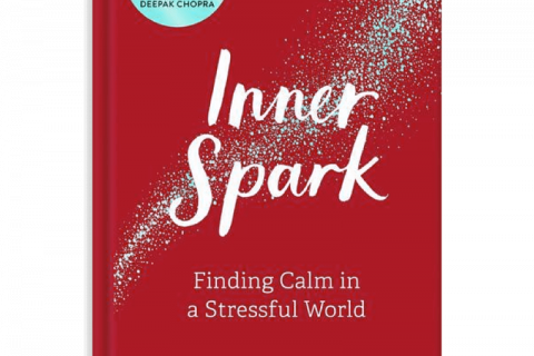 book-inner-spark